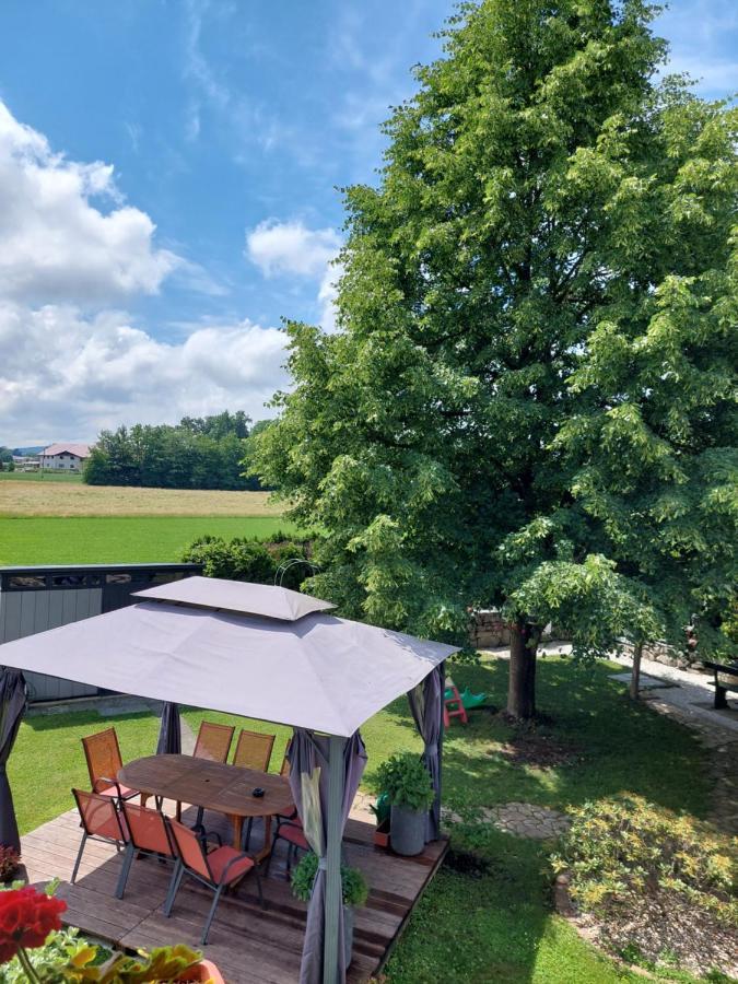 Apartma Zirovnik Церклье-на-Гореньскем Экстерьер фото